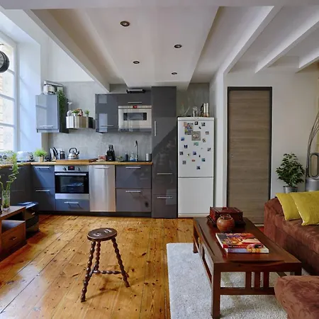 Jolie Duplex Au Coeur De Saint Michel Apartament Bordeaux