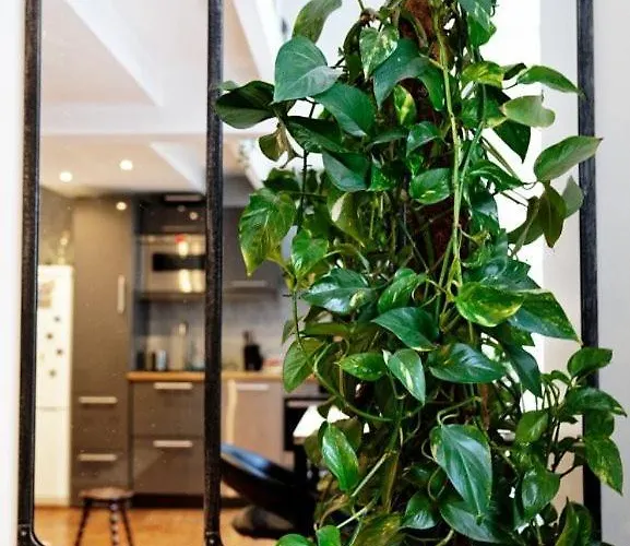 아파트 Jolie Duplex Au Coeur De Saint Michel *