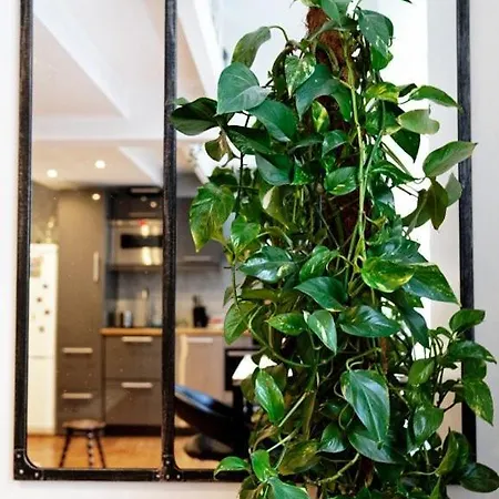 Appartement Jolie Duplex Au Cœur De Saint Michel *